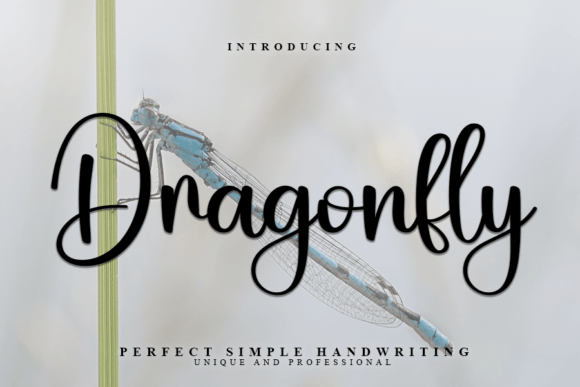 Dragonfly: A Handwritten Font for Distinctive Design Projects